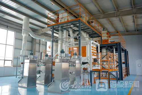 山東一貫寵物用品公司 以高質(zhì)量產(chǎn)品沖刺 寵物經(jīng)濟(jì) 賽道