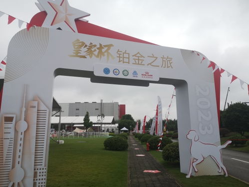 華財經 寵觀察 皇家深耕 毛孩 繁育市場