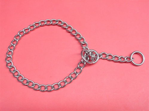 供應單排鏈不銹鋼