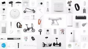 IPO破發(fā)后再大漲，關(guān)于小米雷軍沒(méi)有告訴你的那些事兒——珠寶首飾零售的啟示