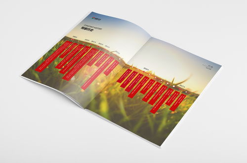 農(nóng)業(yè)集團(tuán)鉑金制品零售產(chǎn)品包裝展示